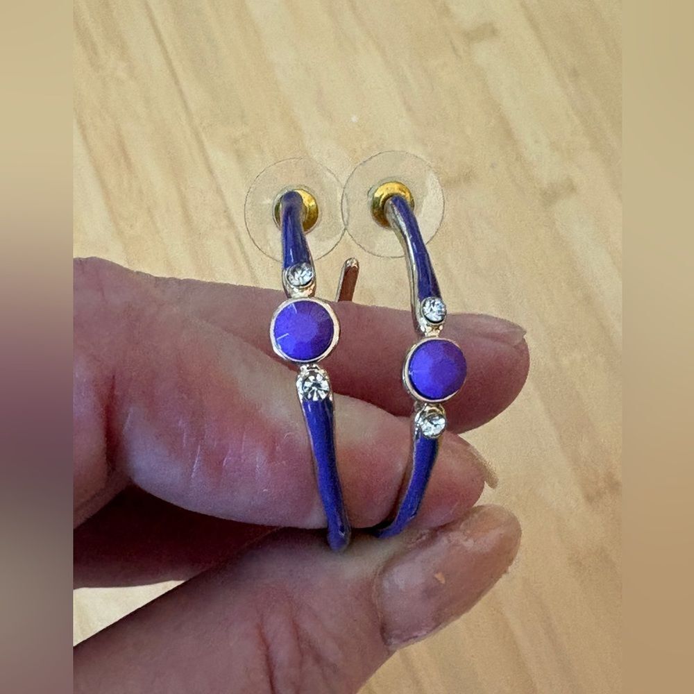 Dazzling Gold and Purple Hoop Rhinestone Earrings